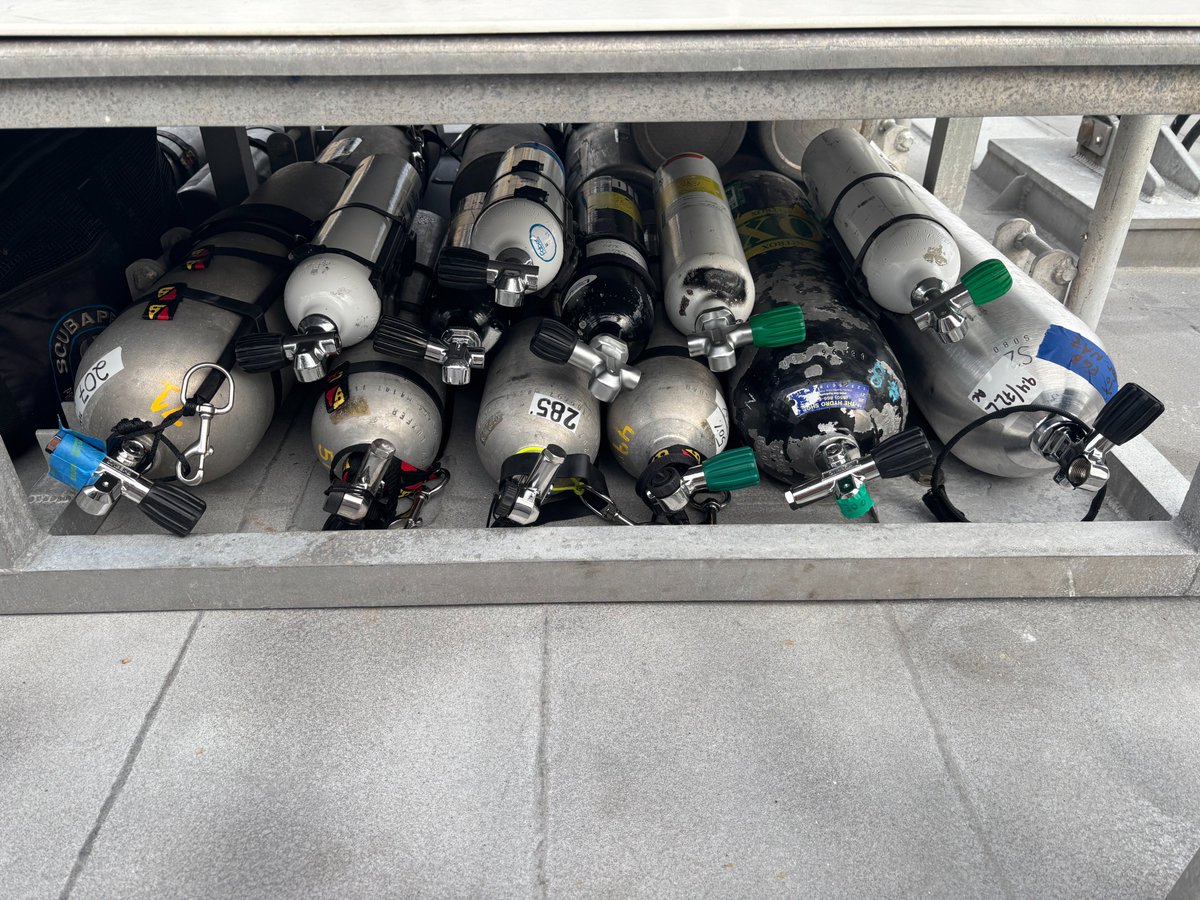 FGBNMS's tweet photo. With special gas mixtures, closed-circuit rebreathers, extended decompression, and a hyperbaric chamber, researchers from FAU Harbor Branch, San Diego State University, and @FGBNMS, with the NOAA Dive Center, recently completed a technical diving mission to study deep reefs. https://t.co/TnvULOSIaI