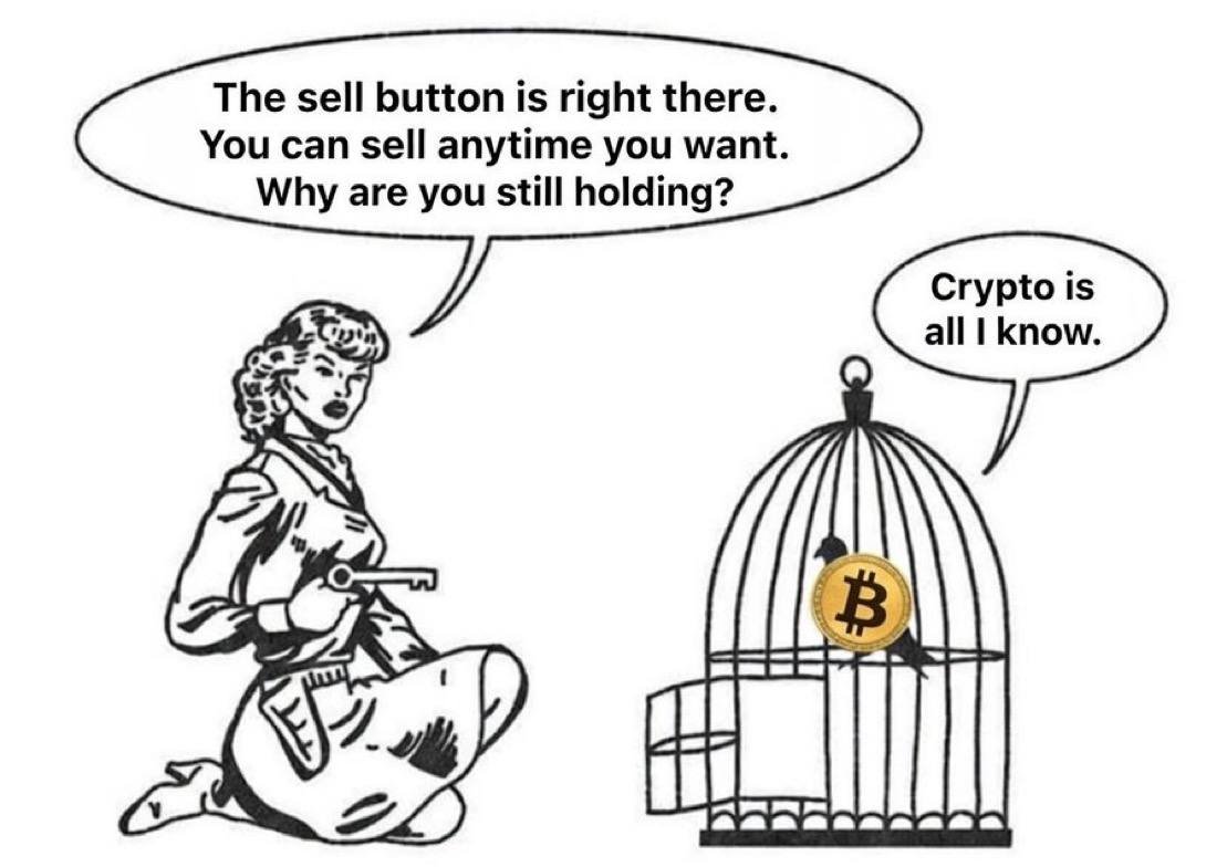 CageIsAlliKnow's tweet photo. Crypto is all I know https://t.co/LQLU21sirp