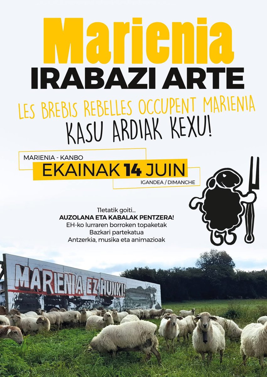 sophie_bussiere's tweet photo. 🐑 Connaissez-vous les brebis rebelles ?
Rdv dimanche à Cambo à partir de 11h pour faire connaissance avec elles et occuper le terrain ! 
3,7 hectares de terres #agricoles menacées de bétonisation par Bouygues pour y construire des logements.
Une belle lutte bientôt victorieuse! https://t.co/c6qdhFlLRn