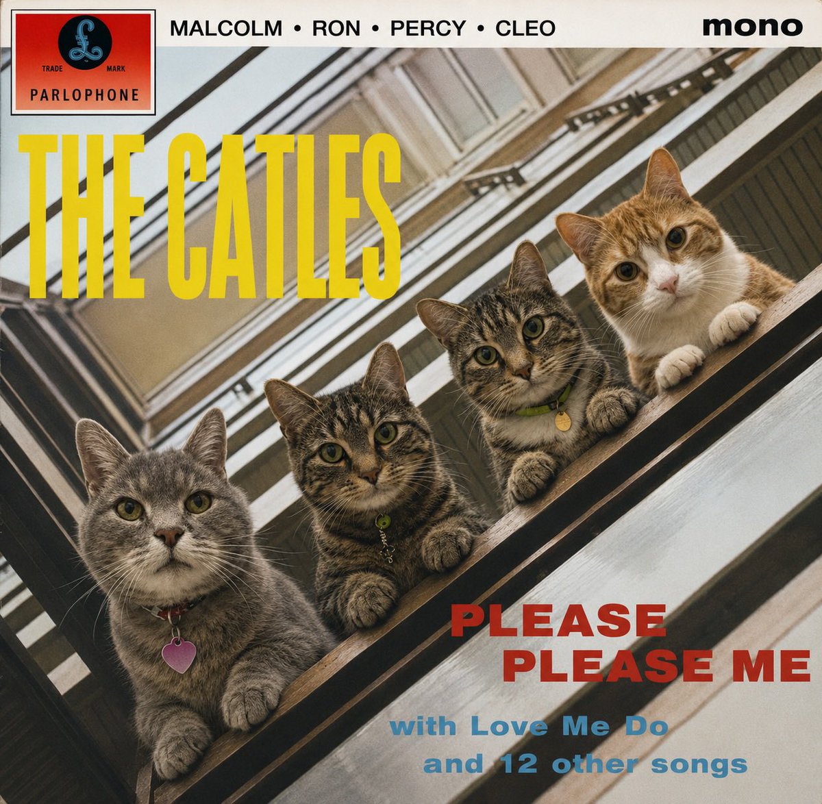 Malcolm_theCat's tweet photo. Friends! We quite liked our Tabby Road album cover that we shared recently. So here’s another tribute to the Beatles. Hope you like it! 🎶 https://t.co/hKidA9KdDd