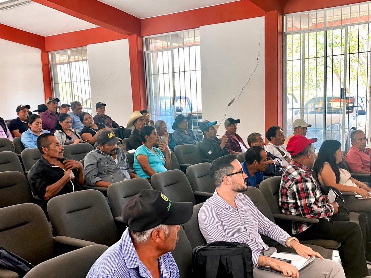 CONAFOR's tweet photo. Durante la reunión se revisaron los avances de la Comunidad de Aprendizaje Forestal (CAF)🧑‍🏫, destacando el financiamiento que dará la CONAFOR para fortalecer las redes regionales y apoyar la realización del Primer Foro Regional para ejidos y comunidades de Miahuatlán y Pochutla. https://t.co/W8tTjRqCka