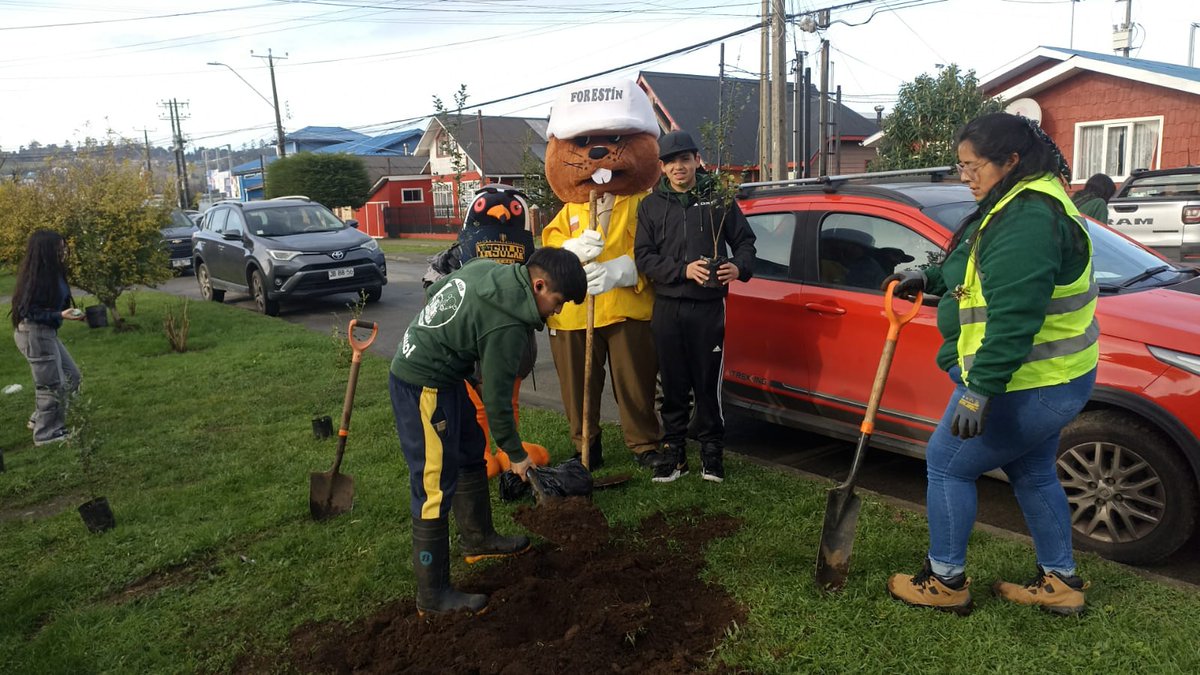 conaf_loslagos's tweet photo. En el Liceo Insular de Achao en Chiloé, #Forestin celebró sus 50 años Junto a Ti, plantando especies nativas. En la actividad estuvo junto a estudiantes y Programas   de Empleo PEE y Arborización @conaf_minagri https://t.co/yFF07kBVPN