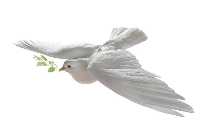 DonaldMusan's tweet photo. Disons nous la vérité, le chef de l'état @fatshi13  est majoritaire dans le pays et à Kinshasa, mais l’opposition a aussi ses partisans. Partant de ce constat, restons vigilants pour éviter tout affrontement civil. La prudence nous épargnera une guerre civile. La paix d’abord. 
#RDC #PréventionGuerreCivile