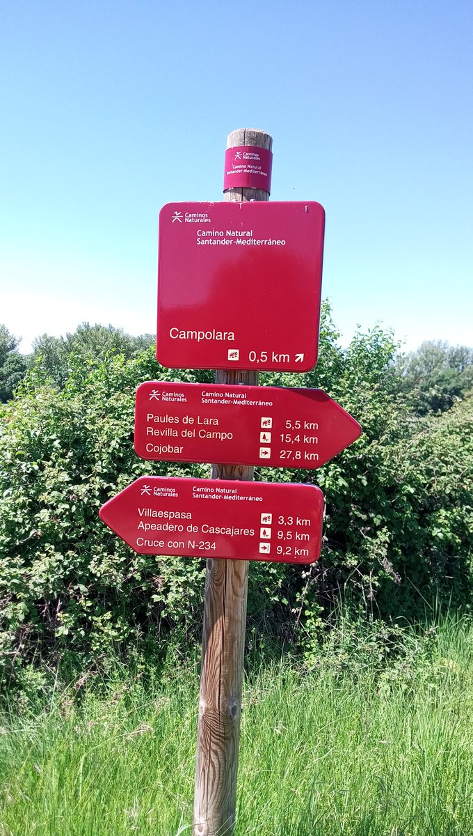 bicicletapiru's tweet photo. Recordando el último viaje https://t.co/QG1iL70wvd
#burgos #eurovelo1 #caminosantiago https://t.co/vXmDu8r8Xq