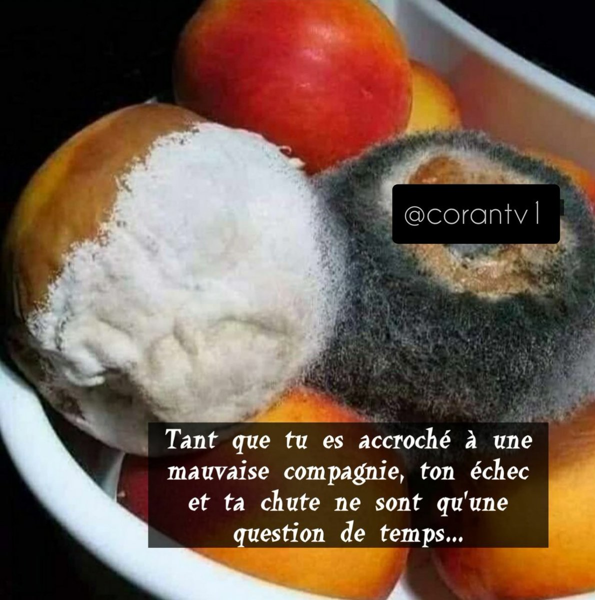 Coran tv tweet media