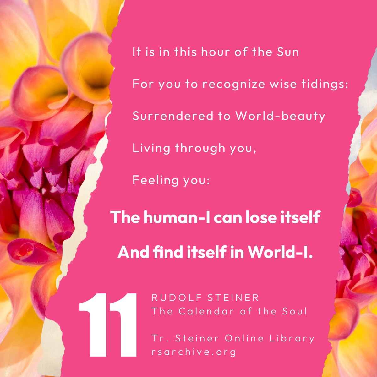 SteinerLibrary tweet picture