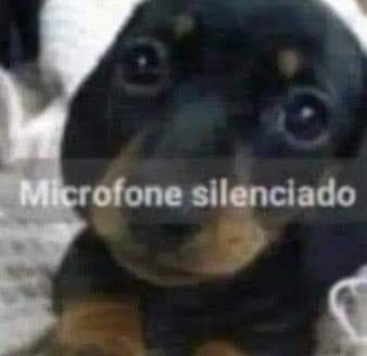 beatrizvlr's tweet photo. oi bis, a streamer ta sensivel e doente hoje bom dia

https://t.co/dkoAbXg6ZQ ou https://t.co/34Tqld46RG https://t.co/siDwGQDKhP