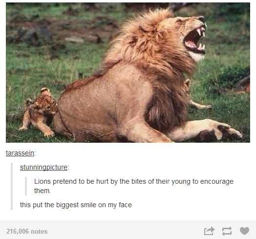 WholesomeMemes tweet media