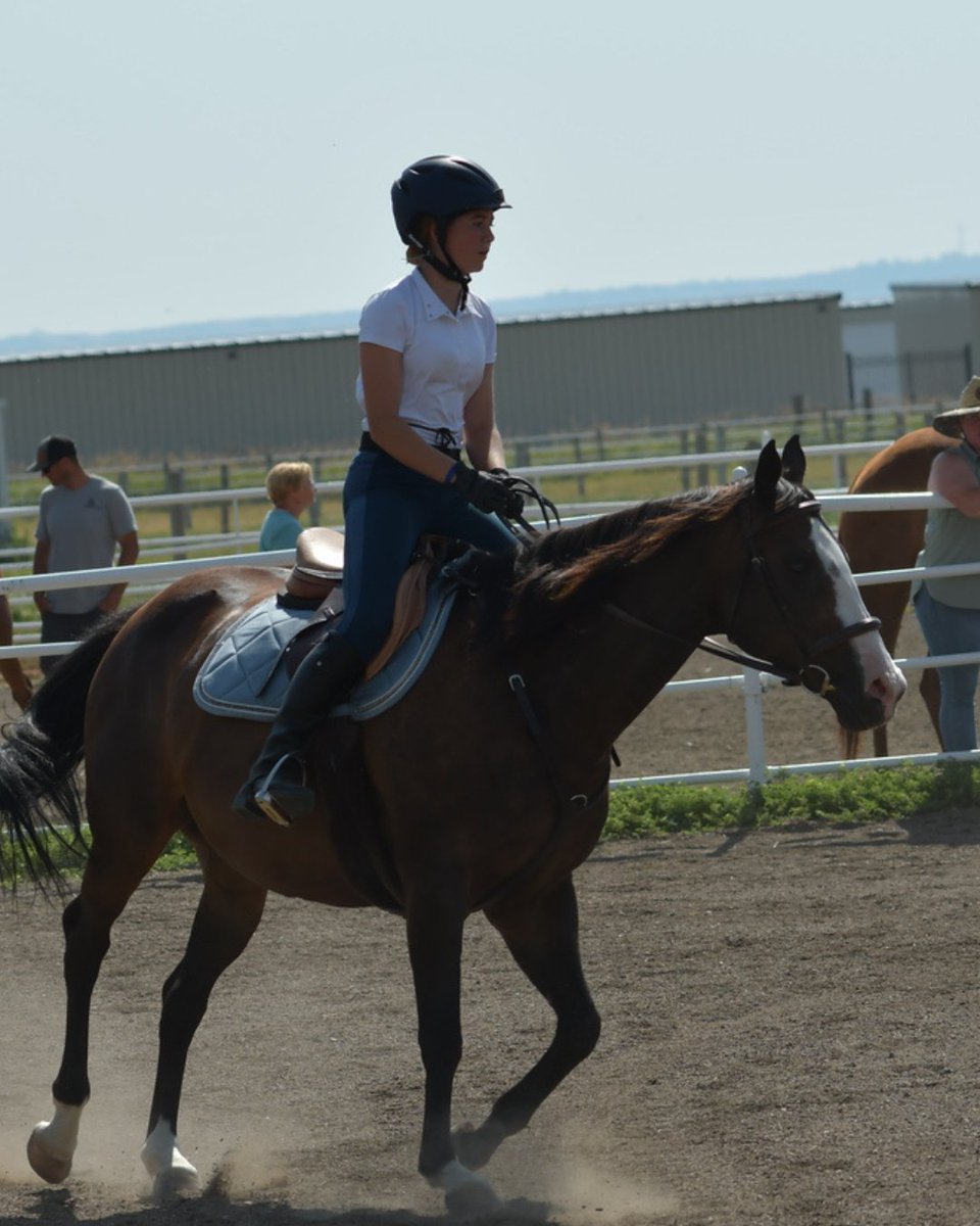 bigskygames's tweet photo. Do you wanna show off your skills on and off the horse? 🐎 

Equestrian events Jumping and Dressage, Pony &amp; Miniature Show, and Horse Show happen on July 18th and 19th.

Register by July 1st for a t-shirt!
https://t.co/Byf8C2Ib0d 

#bssg2026 #montana #horseshow #equestrian https://t.co/pqRiAlETVe