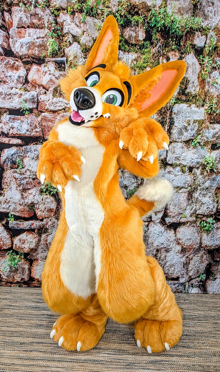 MoreFurLess tweet picture