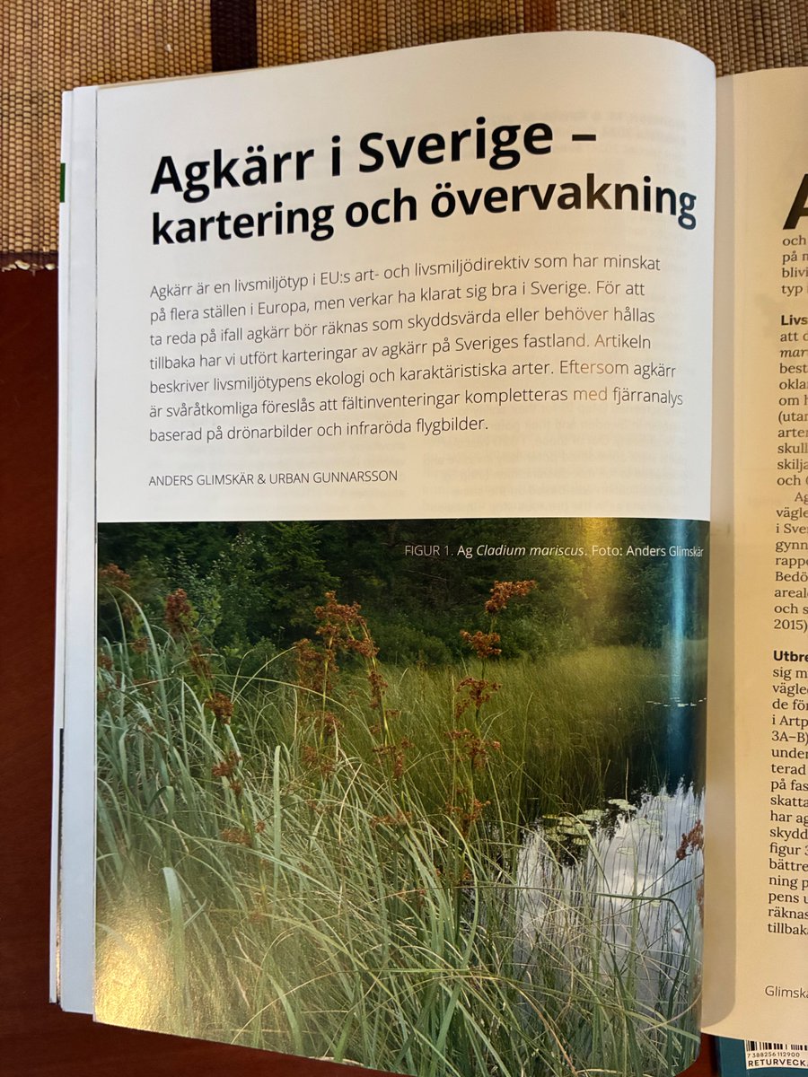 IngvarBa's tweet photo. Alla som löser korsord känner till ’ag’. Detta förträffliga halvgräs har ju nämligen bara två bokstäver. I nya Svensk Botanisk Tidskrift skriver Anders Glimskär och Urban Gunnarsson om agkärr. Agen kräver inte kalkgrund som jag trodde. https://t.co/bdcxjMrY4r
