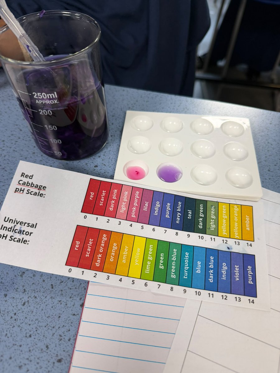 EdenfieldGirls's tweet photo. Who said cabbages were only for eating? π₯¬
Cabbages aren't just great vegetables for the dinner table π½οΈπ₯, they also make fantastic science experiment tools! π§ͺπ¬β¨
#KS3Science #HandsOnLearning #ScienceIsFun #FutureScientists π©βπ¬ππ§ͺ https://t.co/QktzDgxLSp
