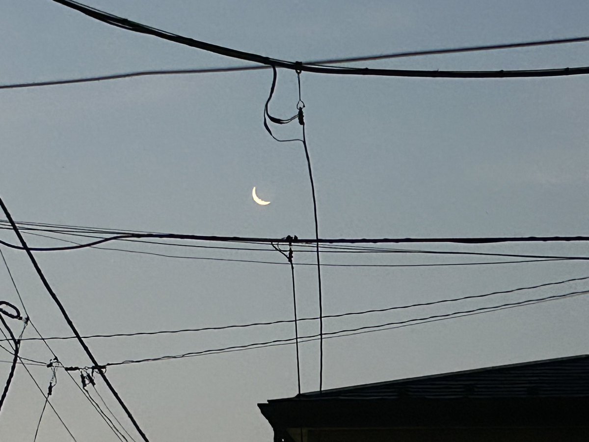 azu_im's tweet photo. 本番終わり、振り返り。
朝4時の二日月が美しい。
朝が始まる。 https://t.co/u5Ru8UjRno