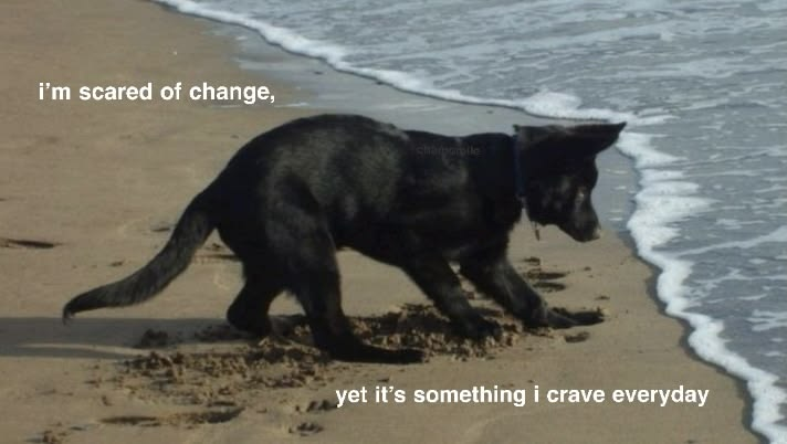 DoggyPosting's tweet photo. https://t.co/hEXxhsYGCK