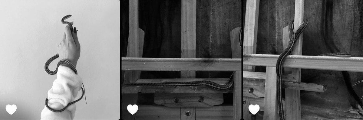 ip_u0i's tweet photo. 💔.. https://t.co/KrBbztrHvv