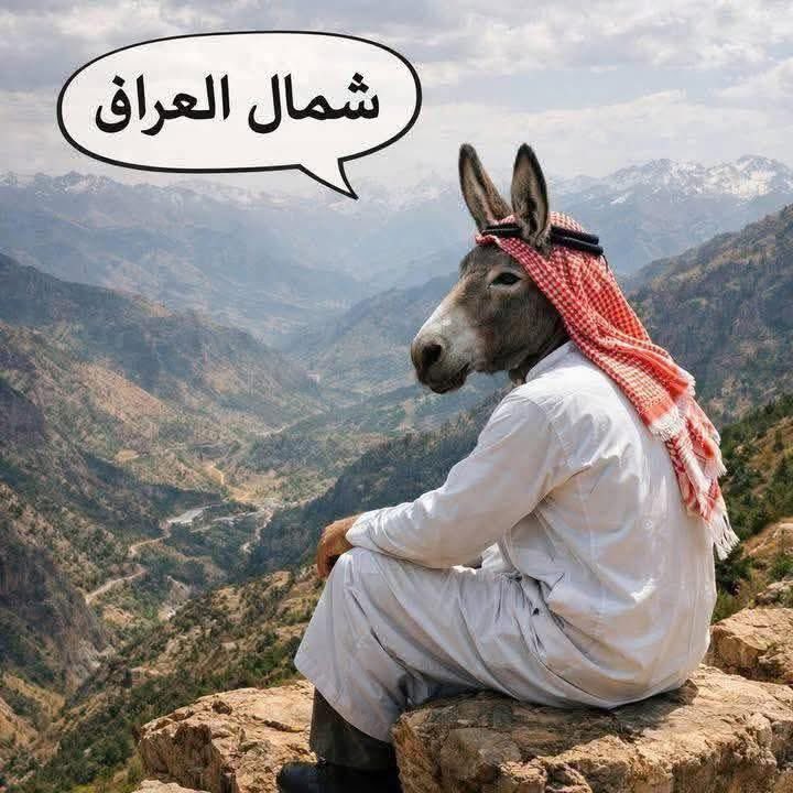 ibrahimshaqrawa's tweet photo. @professor_slim @Tru4Hurts https://t.co/ytk42BT7Za