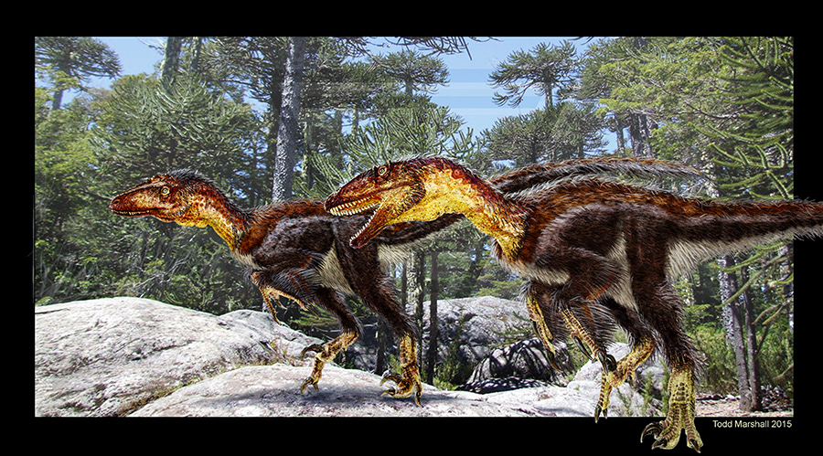 Berlography's tweet photo. I think Todd Marshall is one of the best examples I have seen of an artist painting time accurate dinosaurs and still making them look wholly unique. He has a super strong yet plausible design language, and I think that is something many paleoartists should be inspired by https://t.co/2OLJiXs8Xy