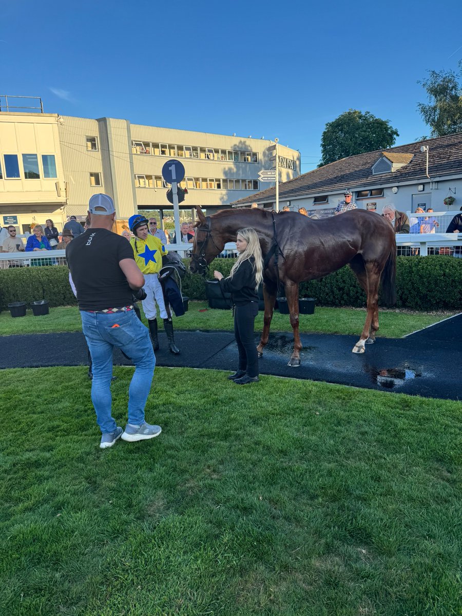 mickfitzg's tweet photo. What a racehorse. Beorma who has just won her 6th race in 16 days https://t.co/iAIxmqhGxU