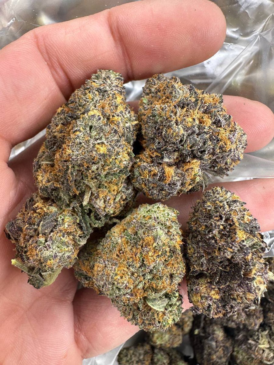 PlugVenom's tweet photo. Bom dia família, estamos a todo vapor🏴

⚠️ Todo Cardápio com 15% de desconto!

🛜 Atendimento : 
Pronta Entrega SP : Até as 00:30! ✅
Envios fora de SP : Até as 21:40! ✅

Cardápio aqui : https://t.co/QoHcWVTJRG

#maconha #sp #delivery #corre https://t.co/aBSp5Nnr46