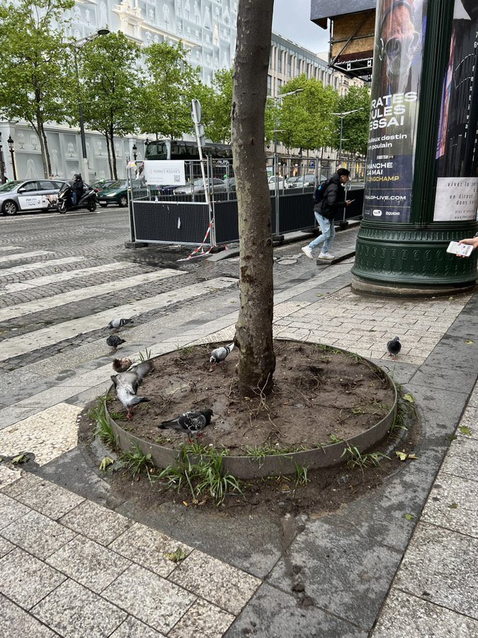 BGianeselli's tweet photo. « Protéger le patrimoine, ce n'est pas seulement préserver des bâtiments remarquables, c'est aussi veiller à l'harmonie globale de la ville, à son élégance, à son caractère. » @egregoire dans le magazine Mission Patrimoine de @bernstephane. Je suis désolé, mais qui a fait ça ? ⬇️ https://t.co/OAyT3EEn8D
