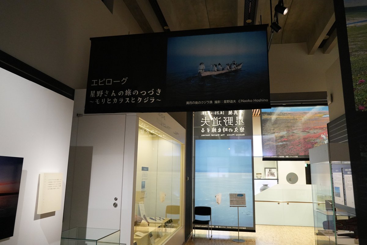 星野道夫 #悠久 #アラスカ #写真展 #特別展 #お出かけ #イベント
