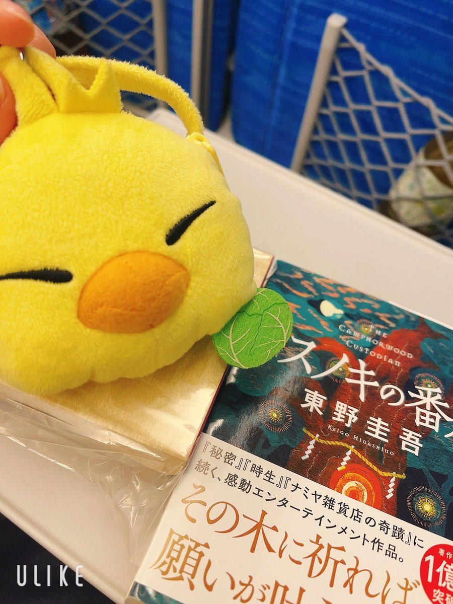 pomm_ff14's tweet photo. 今日から帰省〜！
久しぶりに新幹線にしたけど2沿線乗らなきゃで遠い！けど楽しい！ https://t.co/cNZqCV1zBA