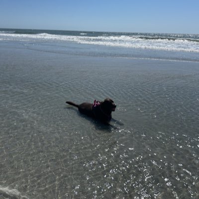 ChetSandt's tweet photo. #NewProfilePic https://t.co/eNVqaqCTKF