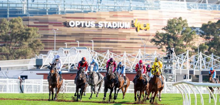 ozrace's tweet photo. Saturday racing @ Belmont Park                       

Tips online from Ernie Manning &amp; Ben Armstrong...                                                        

👉 https://t.co/sdmLZ5EKZq

@PerthRacing @WesternRacepix @913sportfm
@theGreatTipOff @PerthGuru1988 https://t.co/aQGiRtj6D1