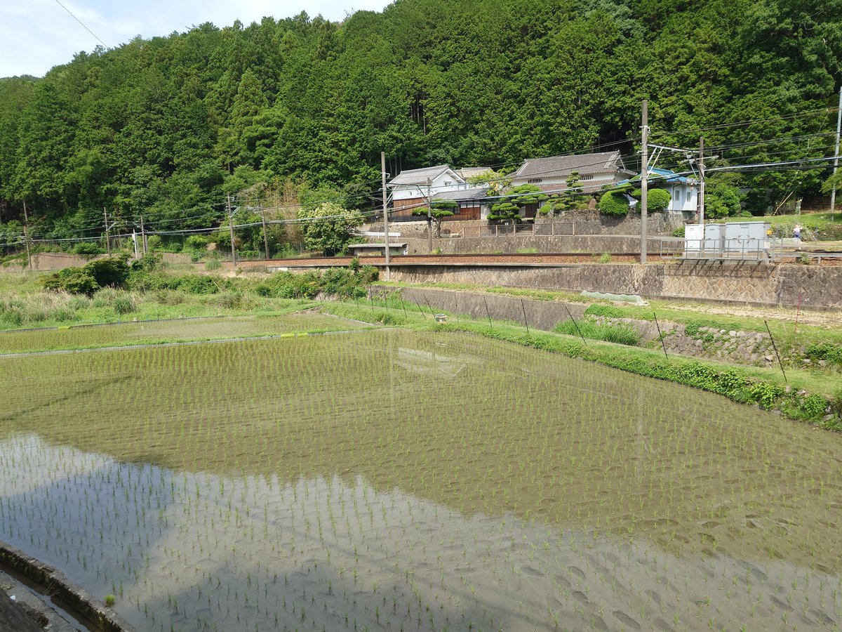 FR_nirvash's tweet photo. 今日はここから！
のせでん沿線を応援するとか5年以上言ってて、のせでんハイキングに一度も参加したことないのはさすがにモグリやろ〜と思っていたので。 https://t.co/R9zXuQeplF