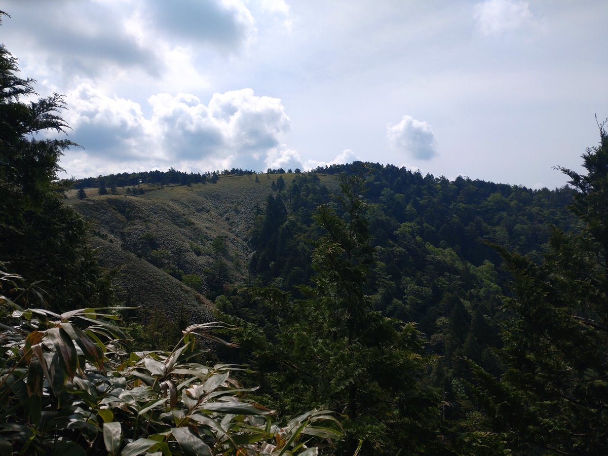 Redhustler1's tweet photo. 白草山に来ています。御嶽山の眺望を見に来たのですが雲の中です…
#御嶽山　#白草山　#登山 https://t.co/TcTOToGQ9p