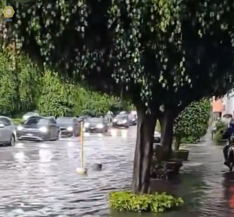 OVIALCDMX's tweet photo. #PrecauciónVial | Derivado de la fuerte #Lluvia en la zona Sur, se presentan fuertes afectaciones en Av. Zacatepetl de Anillo Periférico a Camino a Santa Teresa, así como en Av. Insurgentes entre Corregidora y Moneda, y en Picacho Ajusco entre Anillo Periférico y Tekal, @TlalpanAl, servicios de emergencia laboran para bajar el nivel de agua, de preferencia evite la zona. @SEGIAGUA @Bomberos_CDMX 
#Tlaloque2026