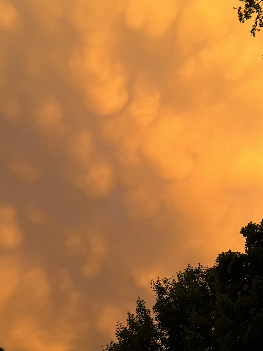 DaveSG's tweet photo. Cool mammatus clouds and orange glow at sunset in Columbia MD. @capitalweather https://t.co/6WM1Ggm729