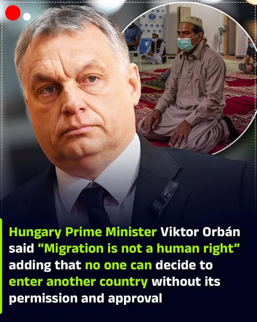 JosefKrieg99804's tweet photo. Főni! Bárhol is vagy gyere vissza mert nélküked az ország elszezik! @PM_ViktorOrban. Mi Patrióták esküszünk, esküszünk hogy az EU rabjai tovább nem leszünk! Gyere vissza mert hív a Haza(a többit majd mi Patrioták megoldjuk) csapjál rendet Magyarhonban 
 mert nélküled elveszünk! https://t.co/usAWNzrBUp