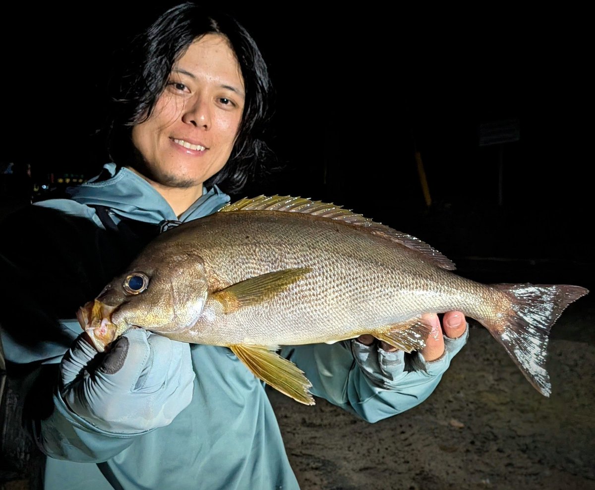 SLPG_Fishing's tweet photo. 夕マヅメ終わりの15分ぐらいが時合🤏
フォールスピードがキモな釣りなんで
20gから始めて18.16.と落として14gでドンピシャ🎯
ワームはベイティやスワシャxgをよく使うけど
ベイトに着いて接岸してくるのが主なのでスティックラメ入りのカラーにしとけば餌🎣
それにしてもデカすぎ笑
#ISK
#シラコ https://t.co/hFmXZQQ7Qy