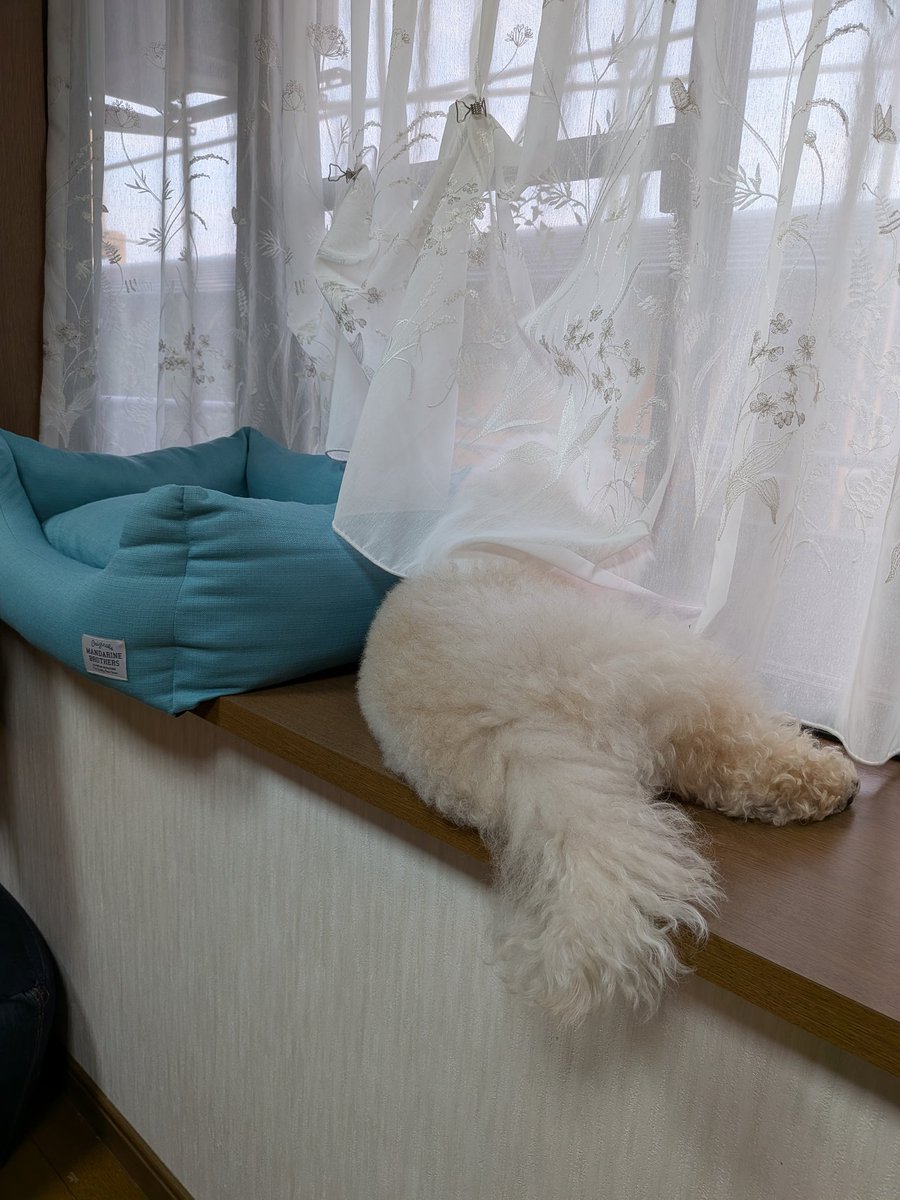 __fukumaru's tweet photo. 外を観察中 https://t.co/PfXM8WdTvP