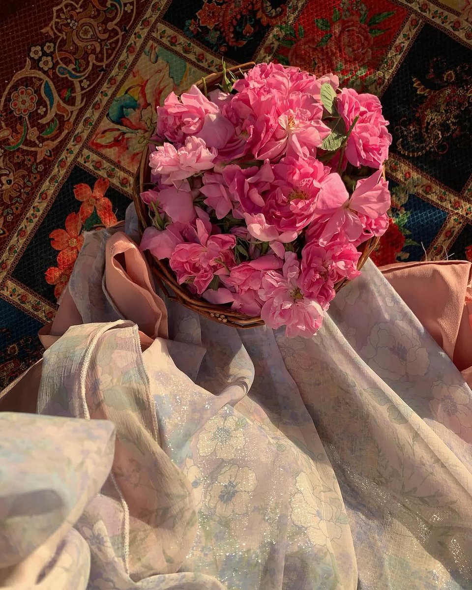 aseelswaid9's tweet photo. Rose harvest in Kurdistan https://t.co/ltYKNnvUWf