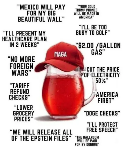 SundaeDivine's tweet photo. "Mexico will pay for the wall” walked so “Donors will pay for the ballroom” could trip over a velvet rope. https://t.co/C3MUrDnX9n