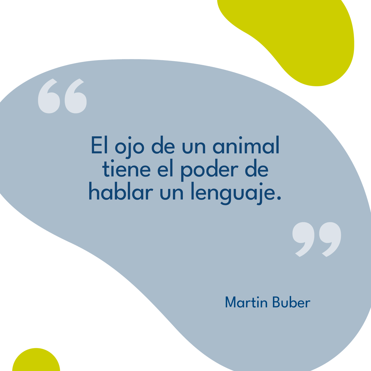 verbienMX's tweet photo. A veces una mirada puede transmitir confianza, ternura, miedo, alegría o compañía sin necesidad de palabras. https://t.co/APxyJNuIIC
