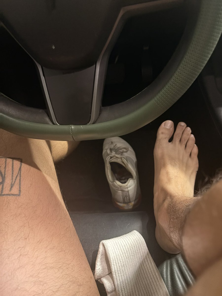 bruhblematic's tweet photo. Had to let the dogs out. It's hot in the desert https://t.co/kDmbNuIKJ5