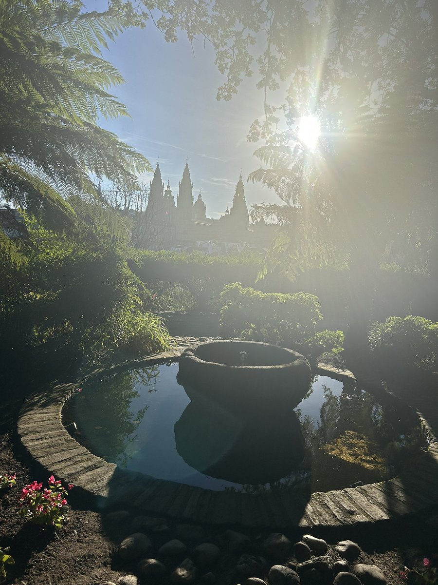 DeasyPamela's tweet photo. #Day163 of #200daysofwalking
8am strolls this morning and what a different feel the sun 😎
#June2026 https://t.co/UHdak6hqX3