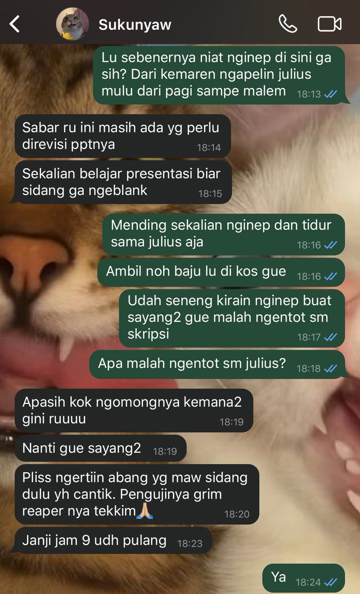 pawsniwaran's tweet photo. #sukugo one tweet au 🔞

Sukunyaw lagi fokus persiapan sidang skripsi, tapi istri pertama minta di sayang-sayang https://t.co/z8yud1ea06