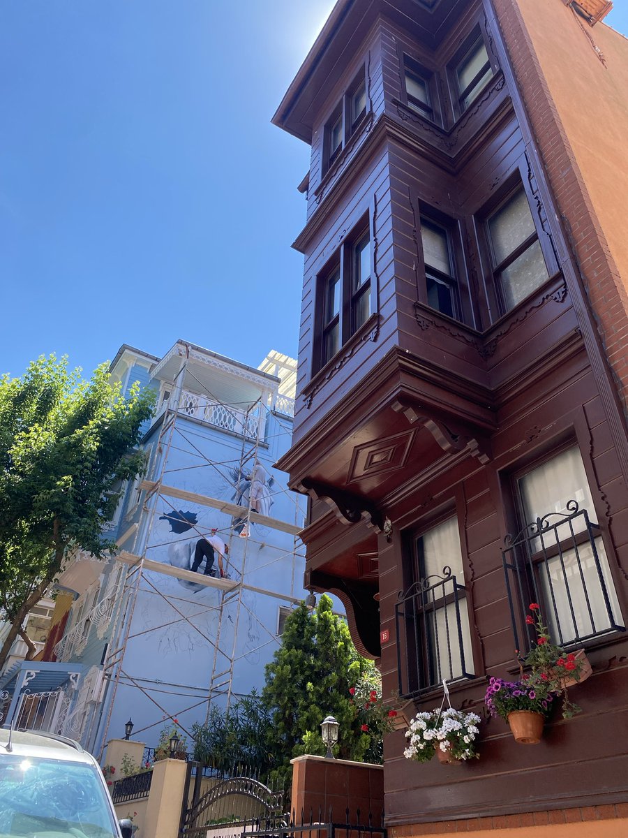 krtlflya's tweet photo. 🏡💫💚💛🩵 https://t.co/AD7M8h1jPb