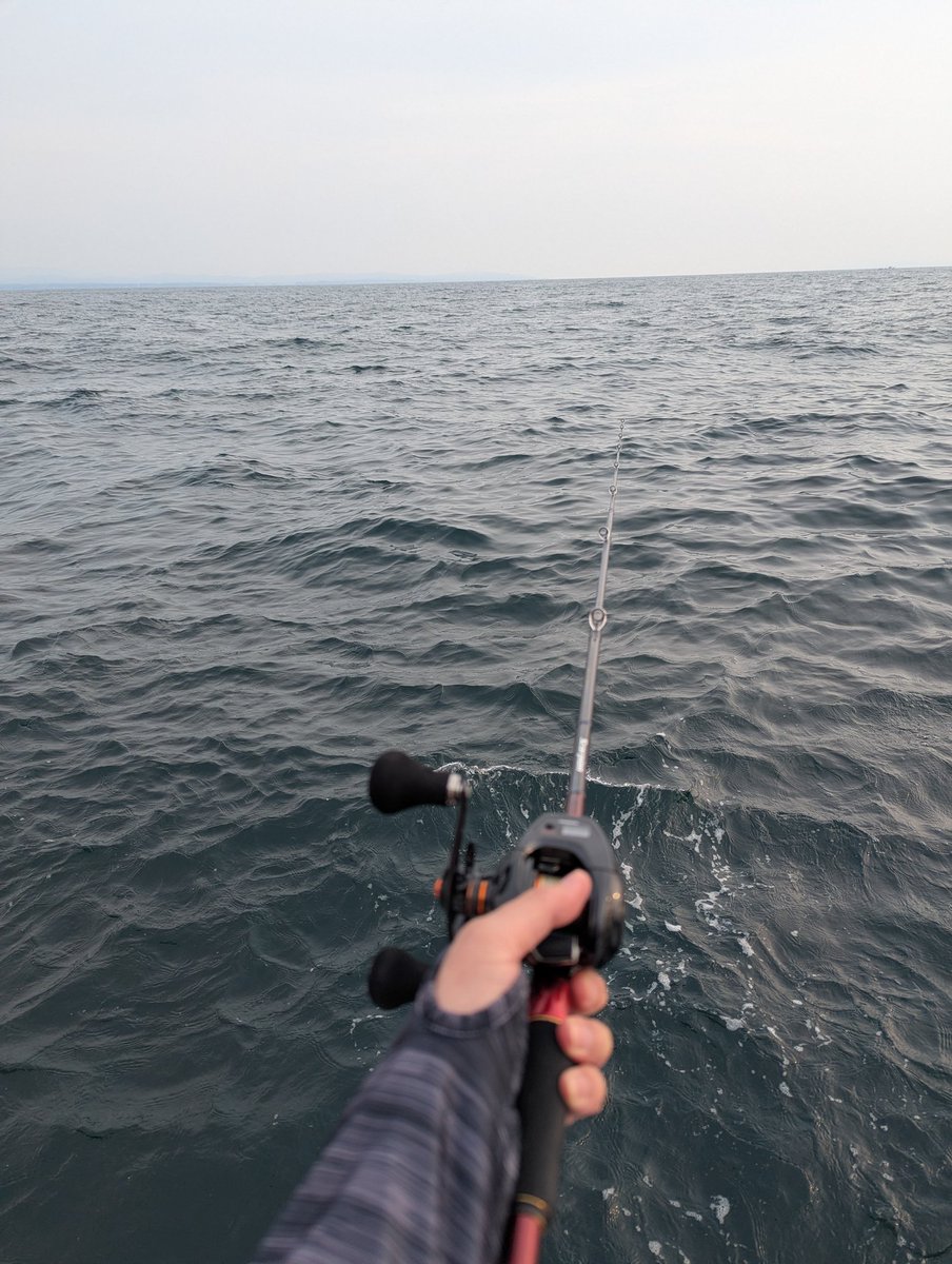 donotbackpass2's tweet photo. 鳥羽で🎣 https://t.co/CUk50JaZF6