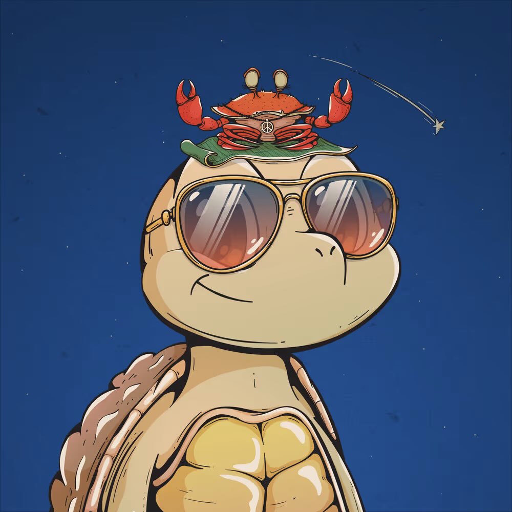 yew_eth's tweet photo. Just swept some more @heyshellmates

Suggest looking into this project! You will continue to see them around! Organic growth and building out the gates! Stoked to see where these turtles go! 🤝🐢🔥 https://t.co/isWxVIz6Pb