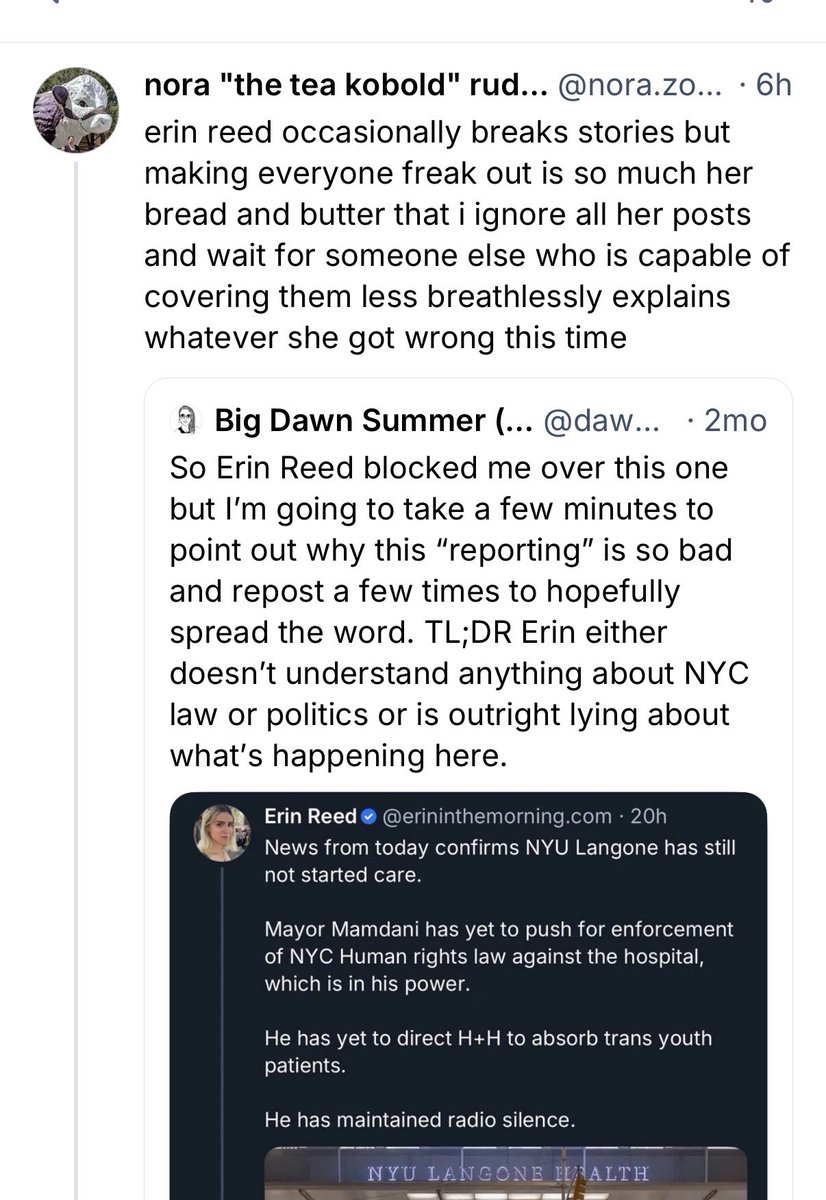 Writer Erin Reed It is almost unheard of for big accounts on Bluesky to get significant ...