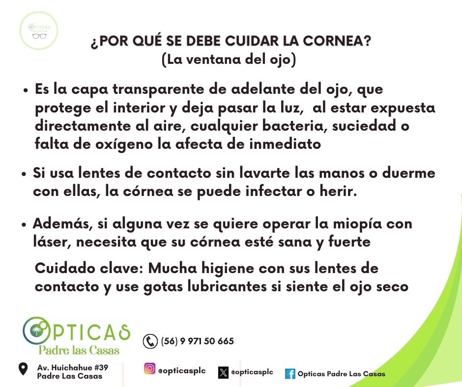 opticasplc's tweet photo. #SabíaQue en un #ojo miope, la #córnea es la que suele "causar" el problema de visión, pero la retina es la que corre el riesgo de sufrir las consecuencias de ello.
Cuidar ambas estructuras del globo ocular es fundamental cuando se tiene #miopía
#PadreLasCasas #SaludVisual https://t.co/UdEcD764KB