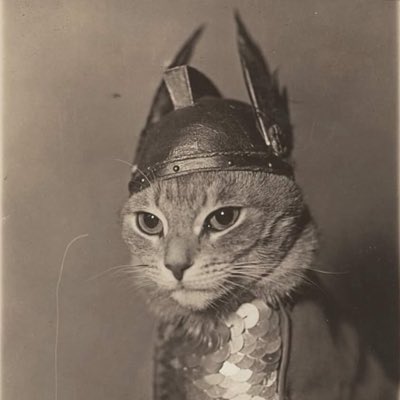hernyposting's tweet photo. #NewProfilePic https://t.co/ydQO4WVM2f