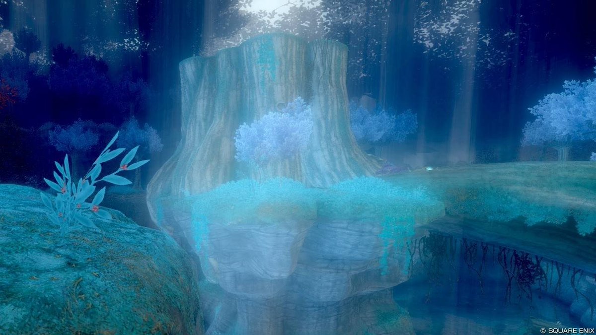 himetti_dq10's tweet photo. 【風景写真】撮影場所:ガウシア樹海

#DQ10 #DQX #ドラクエ10 #ドラクエX #ドラゴンクエスト10 #ドラゴンクエストX #アストルティア風景写真 #アストルティア写真愛好家 https://t.co/etukEHq47T