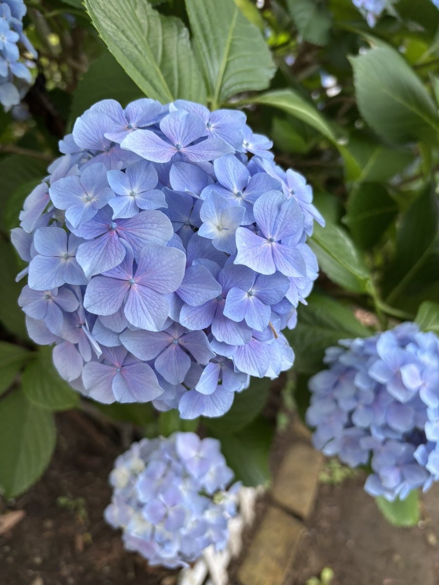D_sky151's tweet photo. 𝐺𝑜𝑜𝑑 𝑚𝑜𝑟𝑛𝑖𝑛𝑔︎ 

昨日はまつ毛パーマ→美容院
→1時間半の昼寝→ランニング
→コストコへ買い物

忙しい1日でした

下半身が筋肉痛だけど
今日もランニング行くぞーー🏃‍♀️

皆さん 良い週末を🫶🍀︎ https://t.co/h3fFpRdvNl