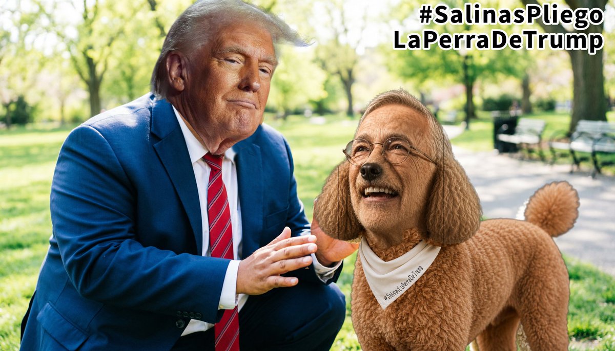 Mr_Brightside23's tweet photo. @AtypicalTeve @fifaworldcup_es @RicardoBSalinas Ahshahahahahah... ahora si me hiso reír el Kakasraki. "ovación"..? si la gente no se canso de mentarle la mdre y decirle #SalinasPliegoLaPerraDeTrump 😂😂😂 https://t.co/QrCgsDeNez